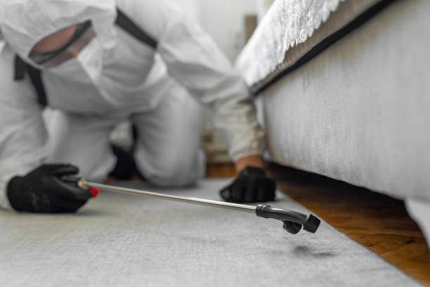 Professional Bed Bug Control technician working in Jefferson County County, IN